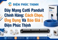 Dây Mạng Cat6 Panduit Chính Hãng: Cách Chọn, Ứng Dụng Và Báo Giá | Điện Phúc Thịnh
