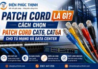 Patch Cord Là Gì? Cách Chọn Patch Cord Cat6, Cat6A Cho Tủ Mạng Và Data Center